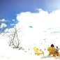 un skieur anonyme