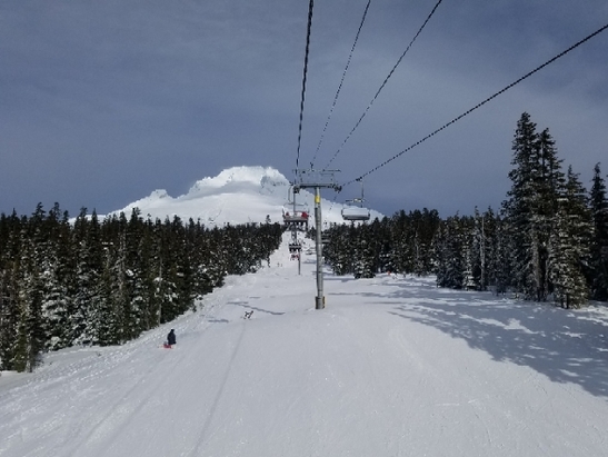 trip check cameras mt hood