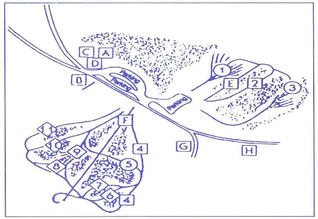 Magic Mountain Ski Area Trail Map